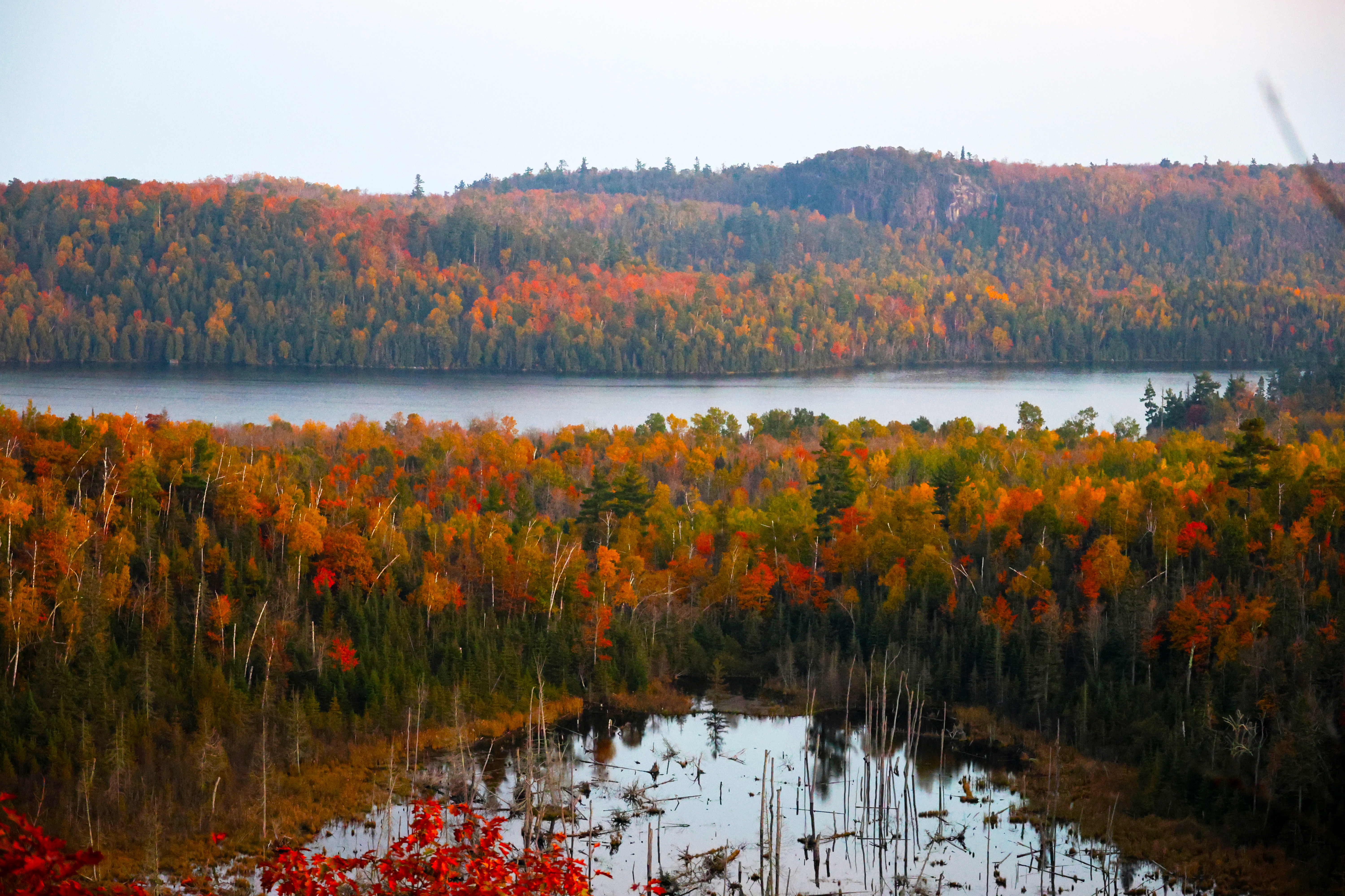 Fall Colors